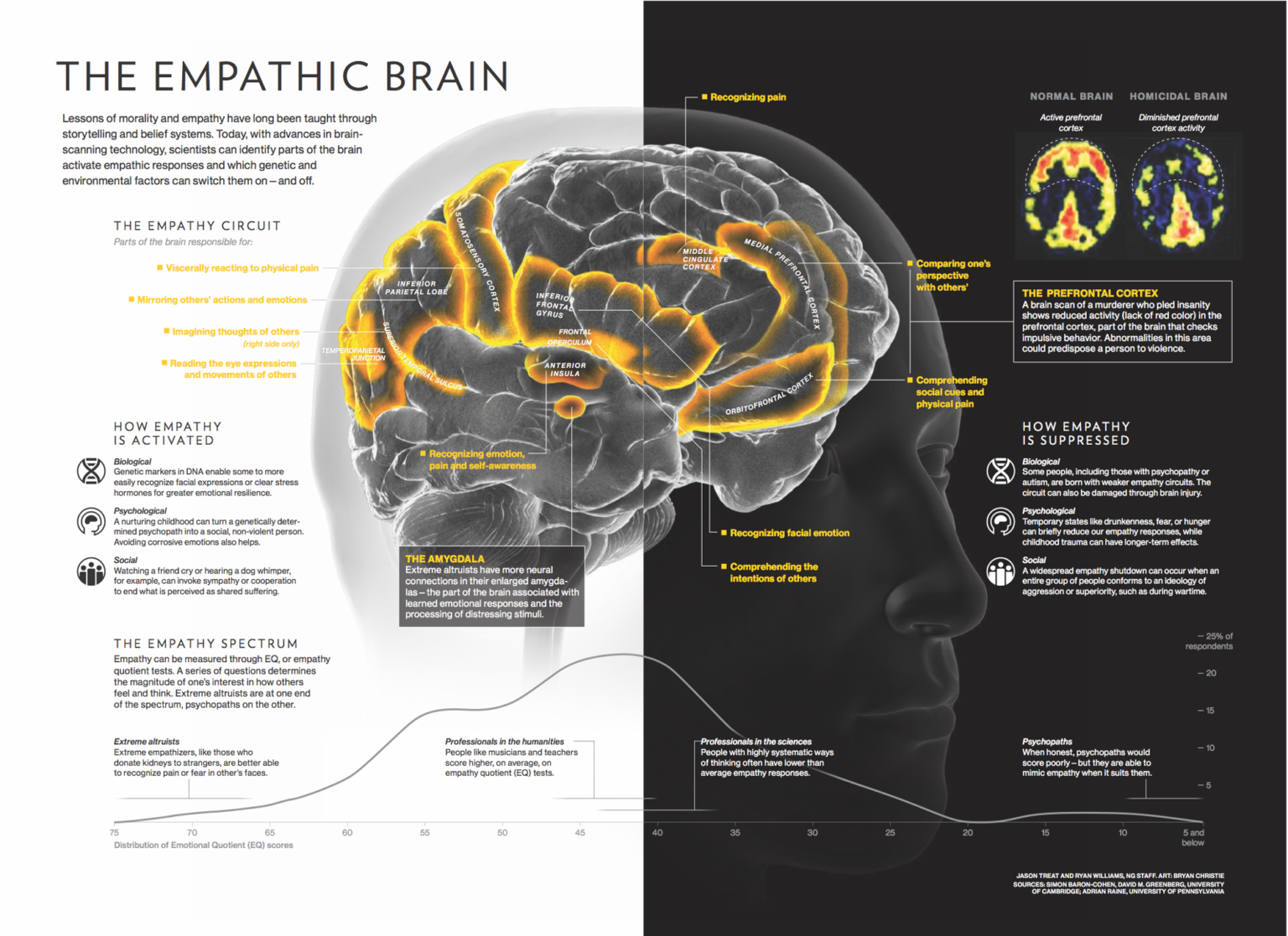 Rosalind M. Greenberg